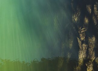 Jaki poziom po filologii angielskiej?