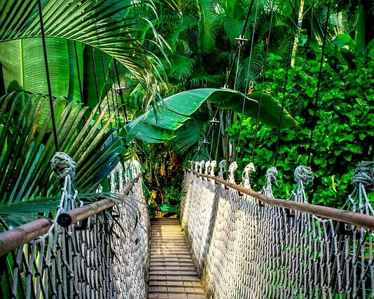 Jakie kursy angielskiego online polecacie?