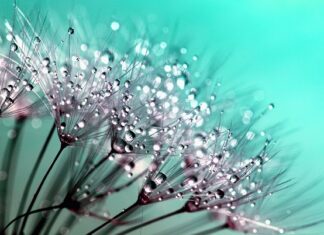 Co to są makro składniki?